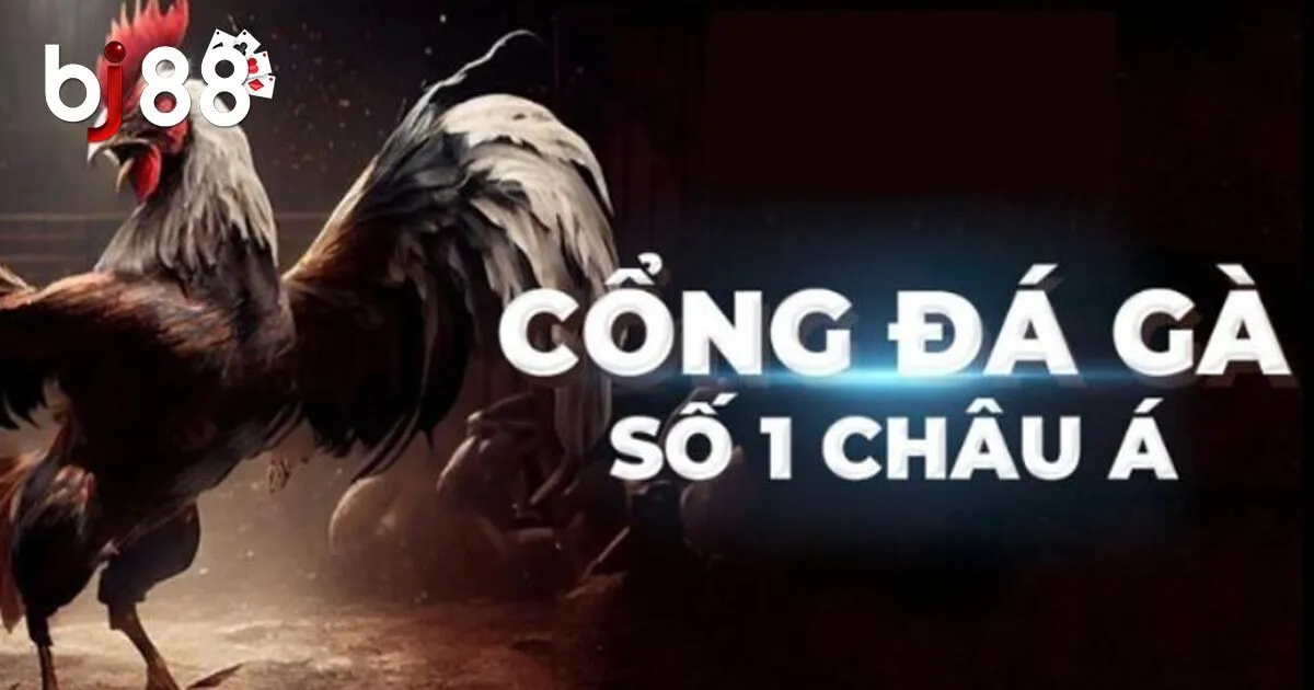 Tổng Hợp Các Hình Thức Đá Gà Trực Tiếp Hot Nhất Năm 2024 3 Lý do đá gà trực tiếp nổi bật hơn đá gà truyền thống