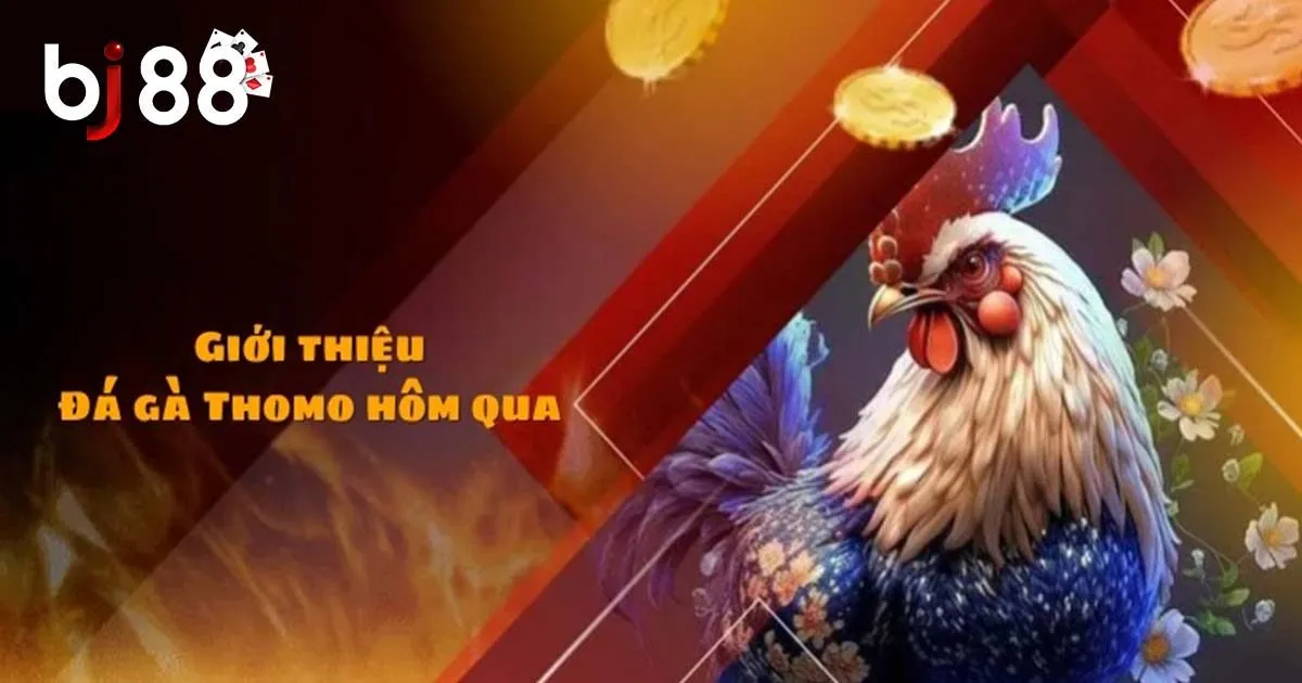 Đá Gà Thomo - Loại Hình Giải Trí Được Yêu Thích Hàng Đầu 3 Loại hình đá gà Thomo phổ biến không nên bỏ lỡ