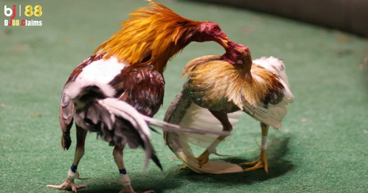 Được trang bị c&ocirc;ng nghệ hiện đại