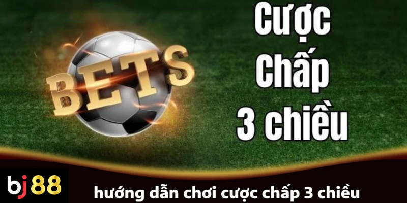 Hướng dẫn chơi cược chấp 3 chiều dễ hiểu 2 Hướng dẫn chơi cược chấp 3 chiều cơ bản cho người mới