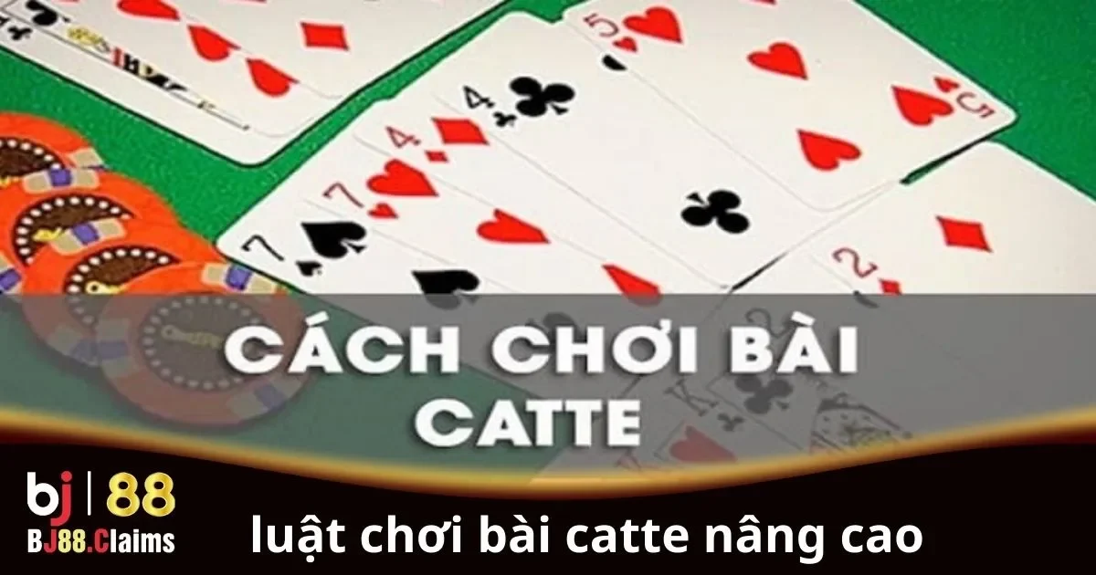 Luật Chơi Bài Catte Nâng Cao: Hướng Dẫn Cho Người Chơi