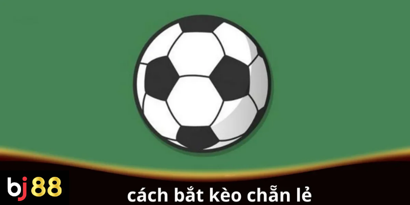 Cách Bắt Kèo Chẵn Lẻ Bóng Đá: Bí Quyết Đọc Hiểu & Mẹo Cược Thắng Lớn 2 Cách bắt kèo chẵn lẻ cho người chơi mới
