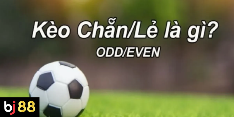 Cách Bắt Kèo Chẵn Lẻ Bóng Đá: Bí Quyết Đọc Hiểu & Mẹo Cược Thắng Lớn 4 Các chiến thuật giúp bắt kèo chẵn lẻ hiệu quả